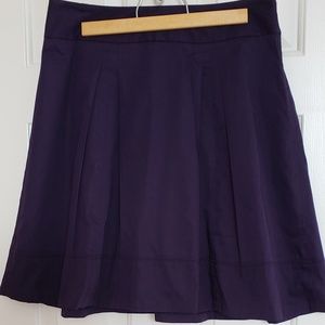 The Limited Skirt